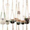 Macrame Plant Hanger