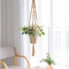 Macrame Plant Hanger