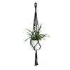 Macrame Plant Hanger - Image 4