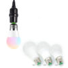 Remote LED Bulb