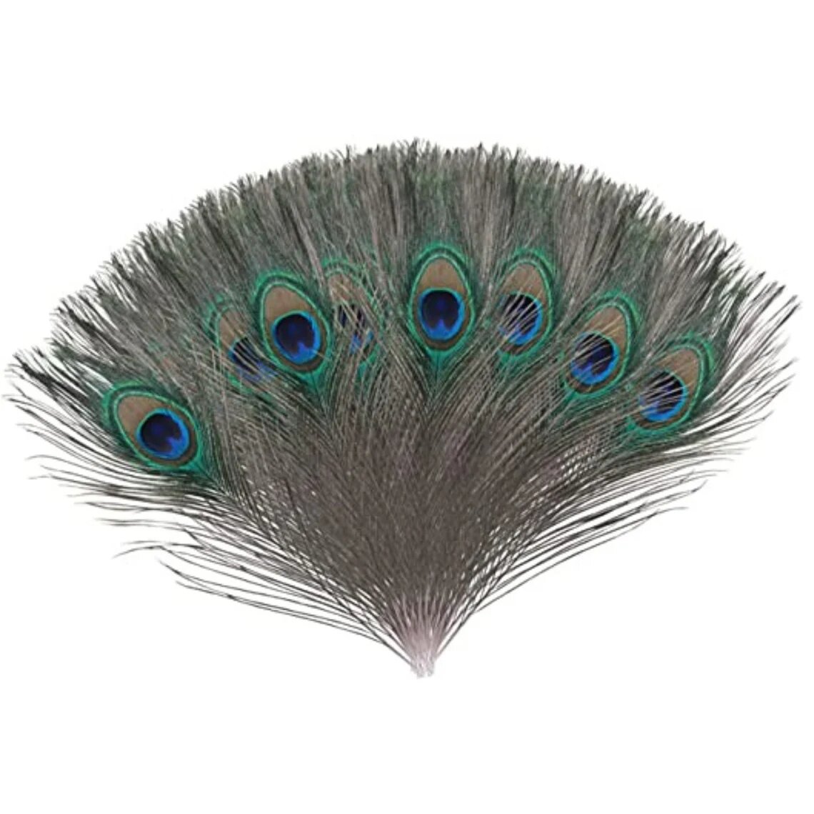 Peacock Feather Decoration  Jewelry Handicraft Accessories - 50